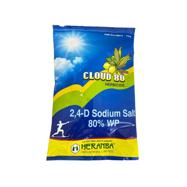 CLOUD 58 - Image 2