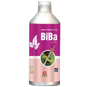 BIBA