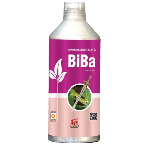 BIBA