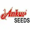 ankurLogo