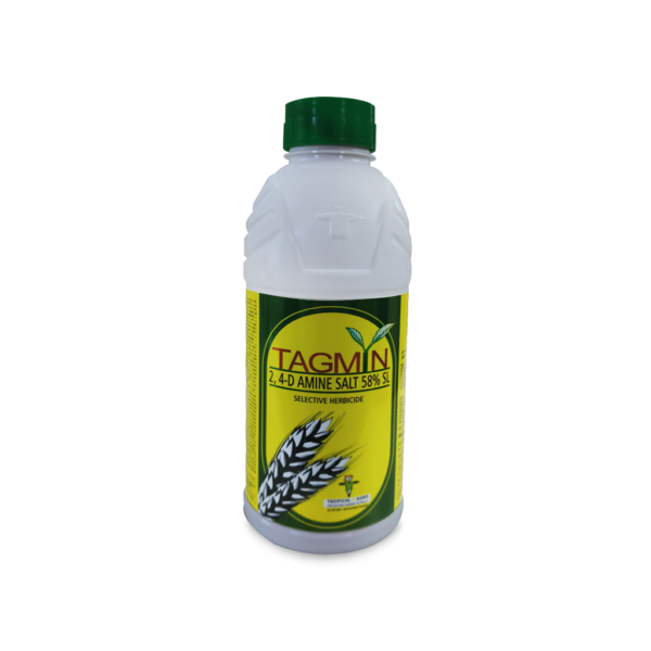 TAGMIN
